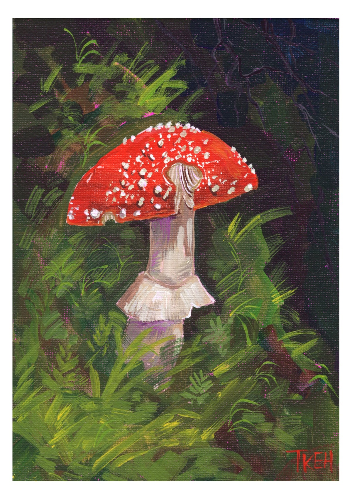 Fly Agaric