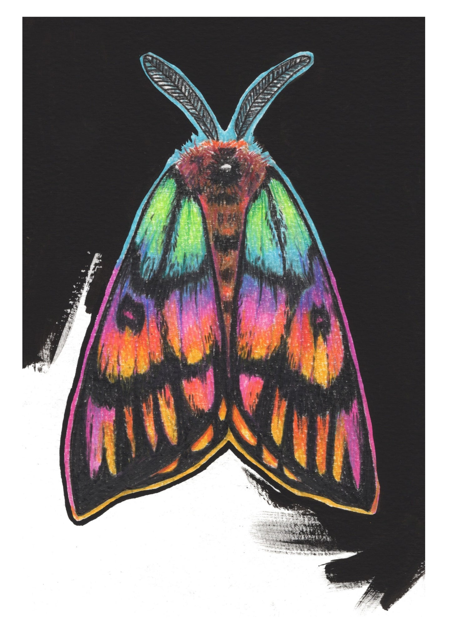 Rainbow Sheep Moth | A5 Art Print