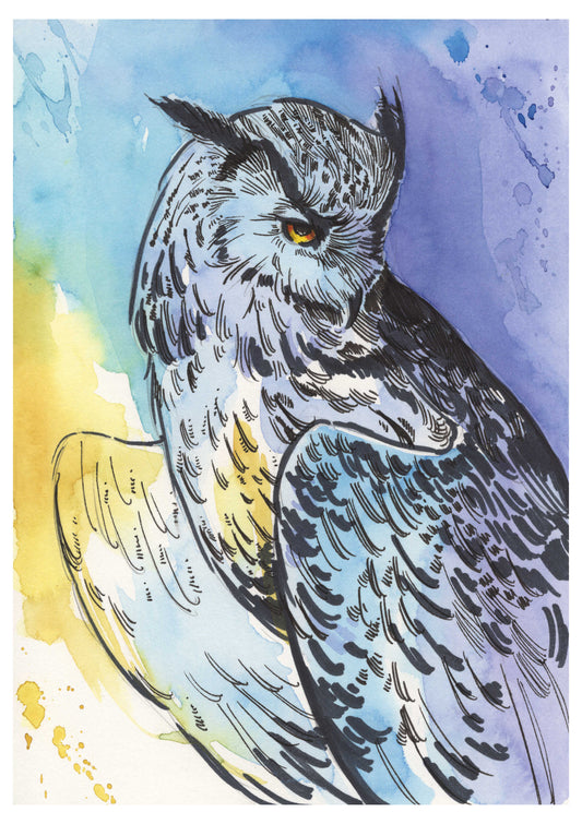 Blue & Yellow Owl Sketch