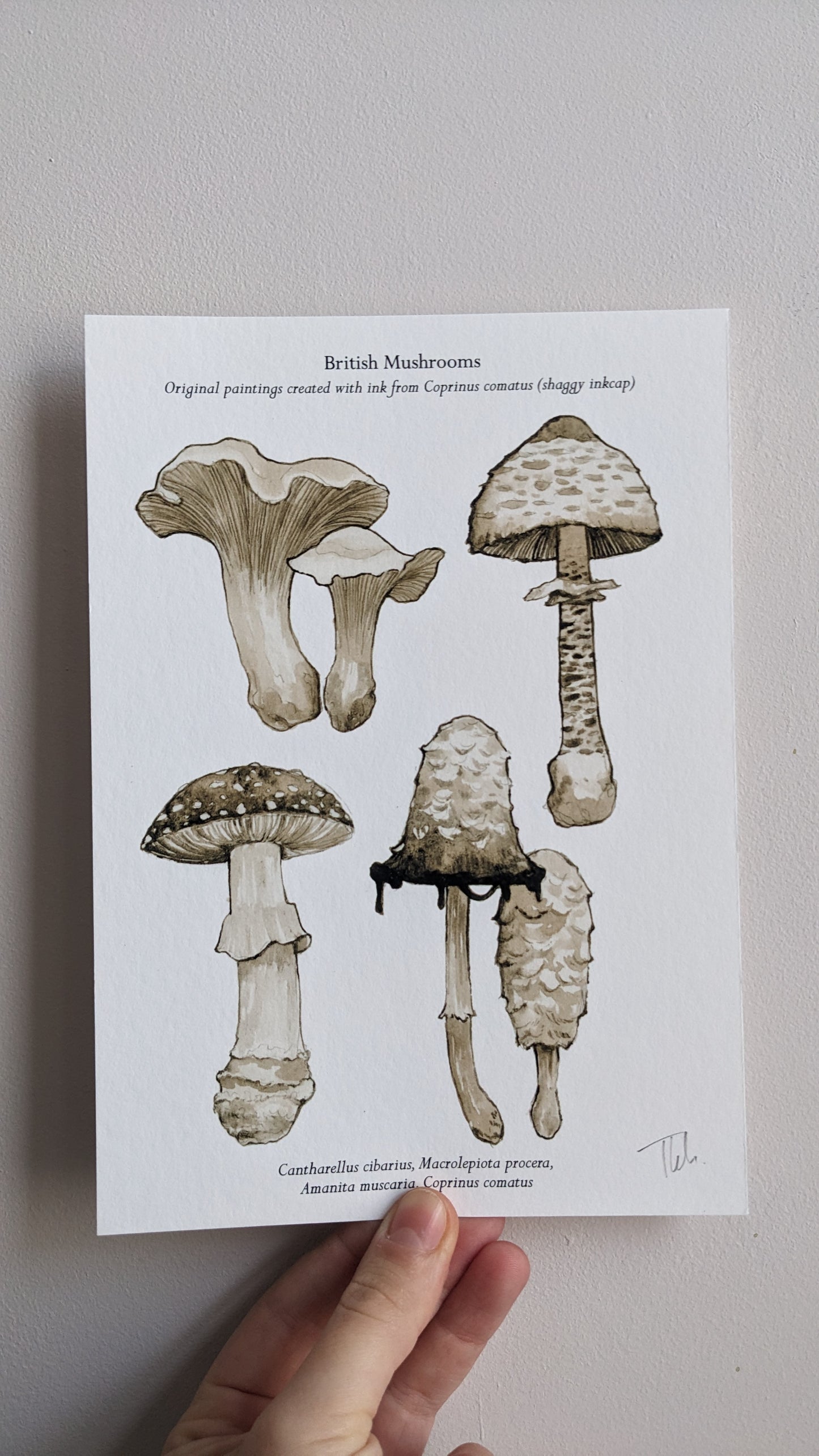 Mushroom Ink print | A5 or A4 Art Print