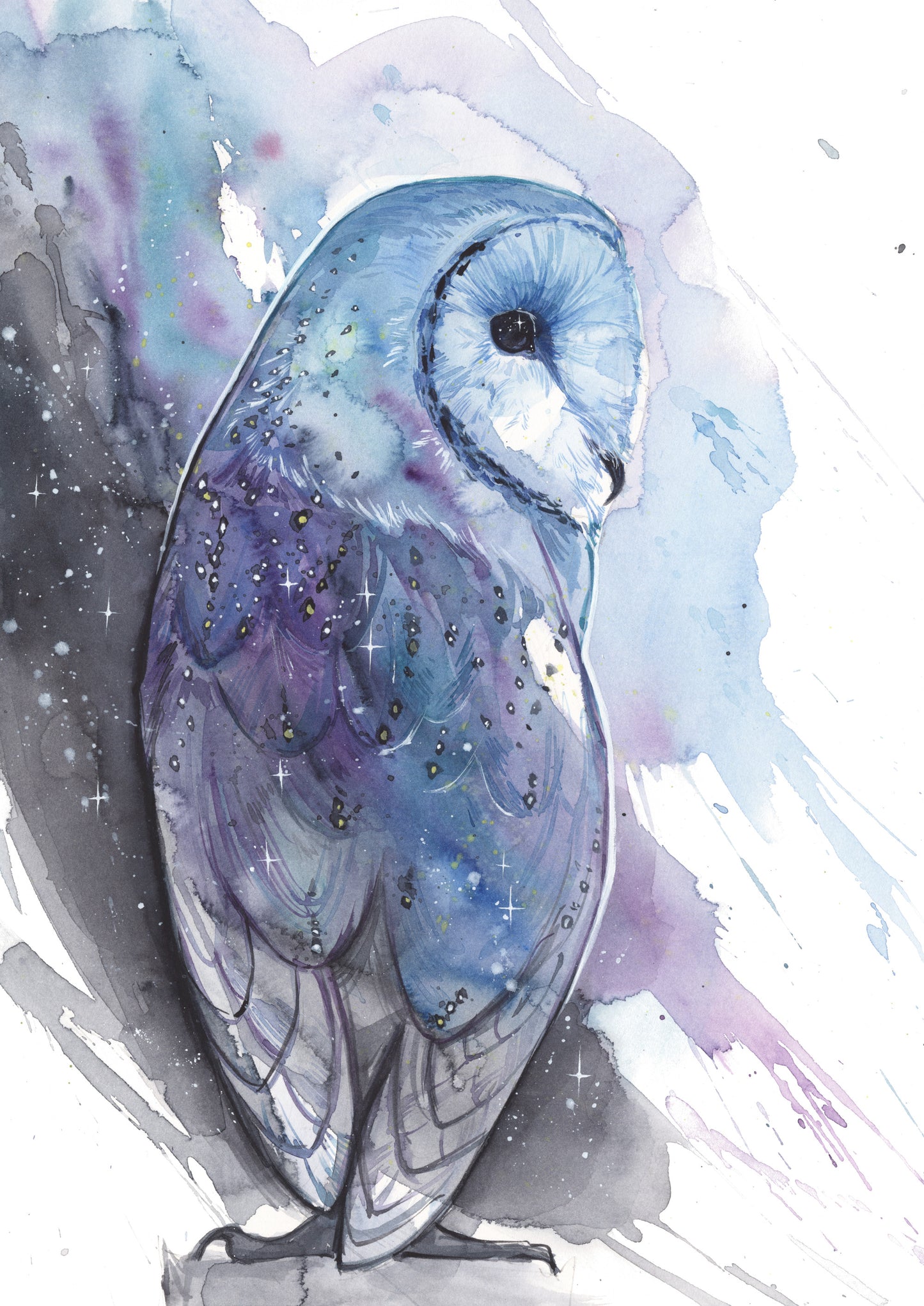 Night Owl