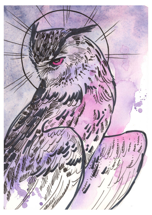 Purple Owl Sketch