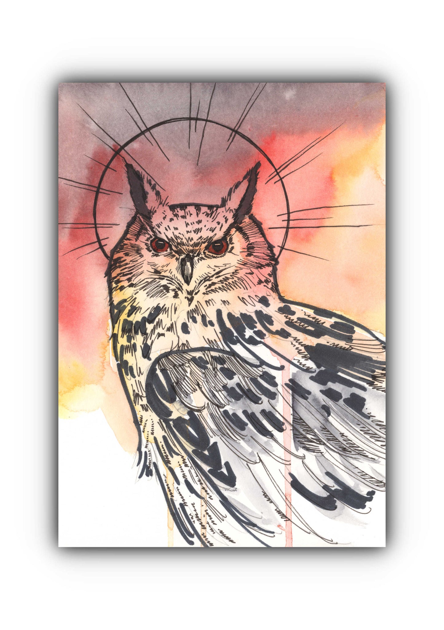 Red Owl Sticker