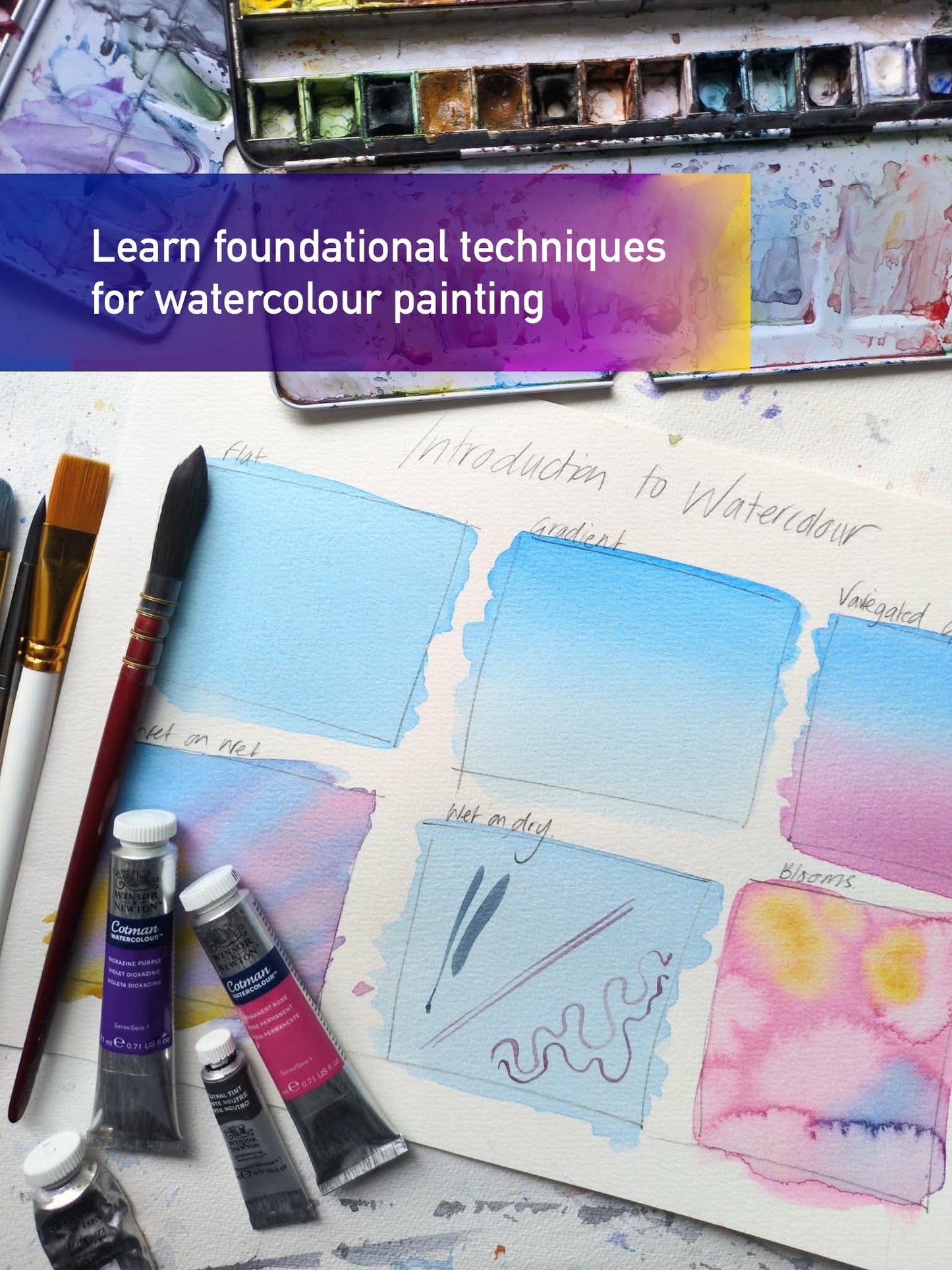 Watercolour Workshops