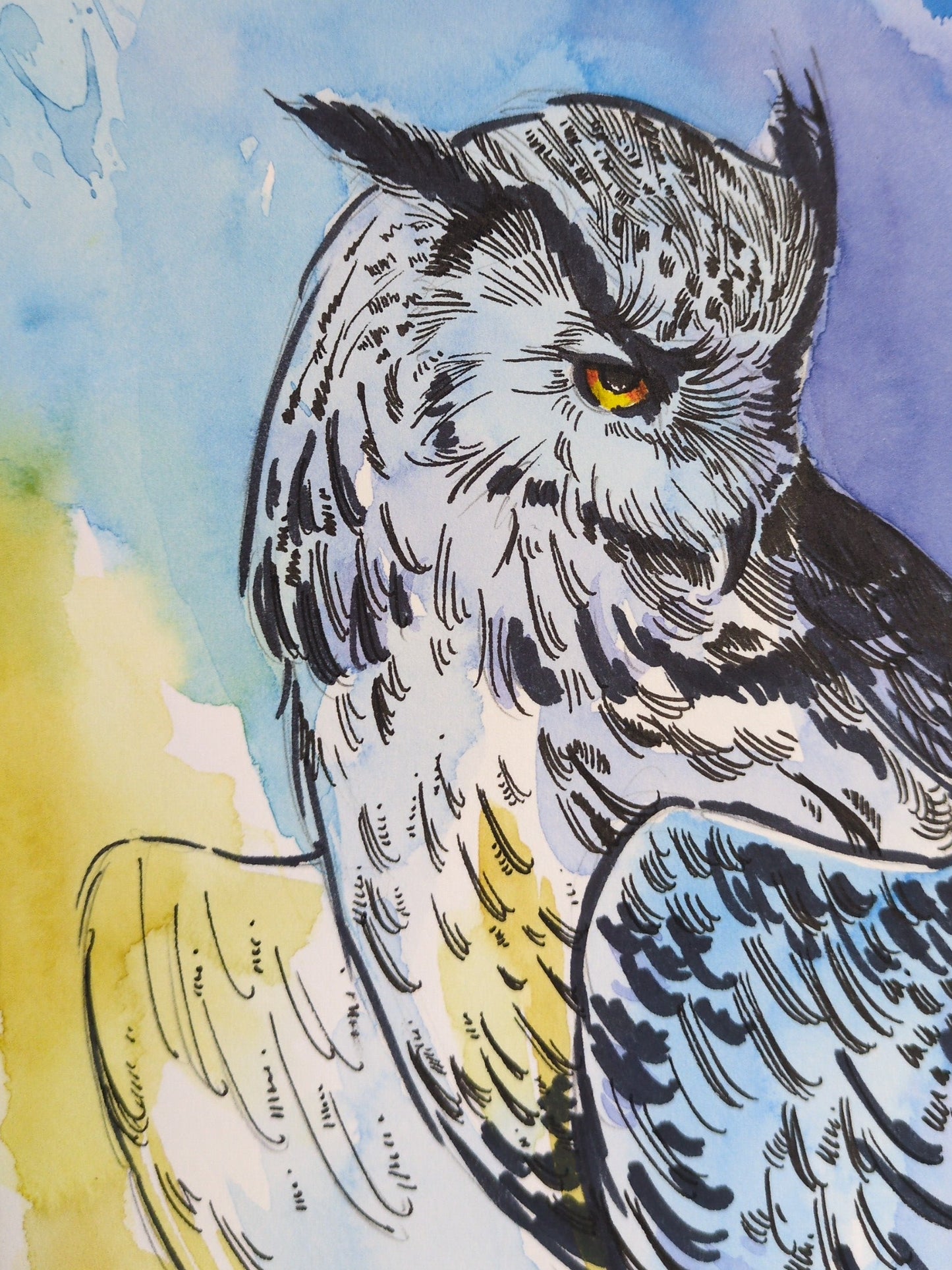 Blue & Yellow Owl Sketch | Original Painting