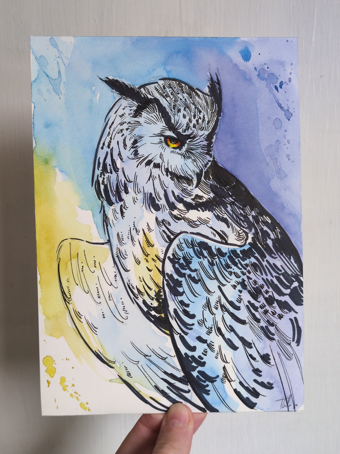 Blue & Yellow Owl Sketch | Original Painting