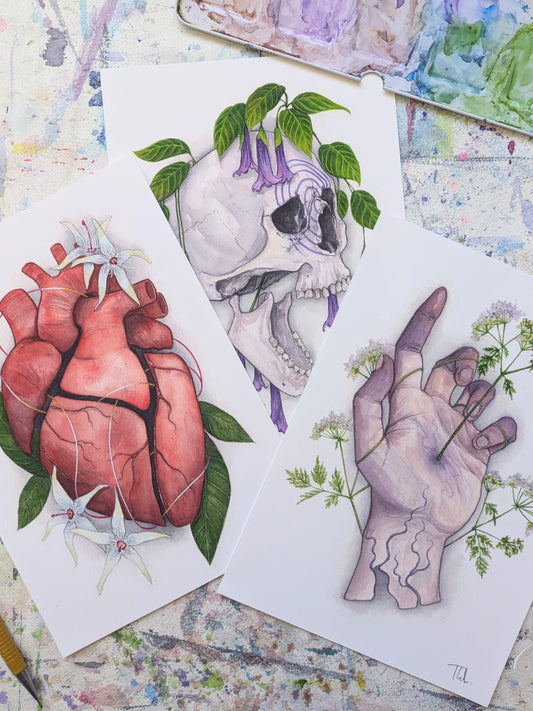 Dark Botanical Art Bundle - 3 Print Bundle
